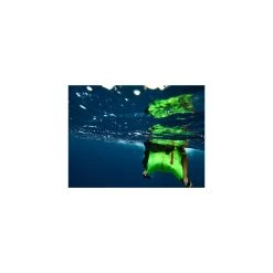 Aztron Sport Aztron Orbit Bæltetaske/Svømmevest -CRESSI SHOP 1 5